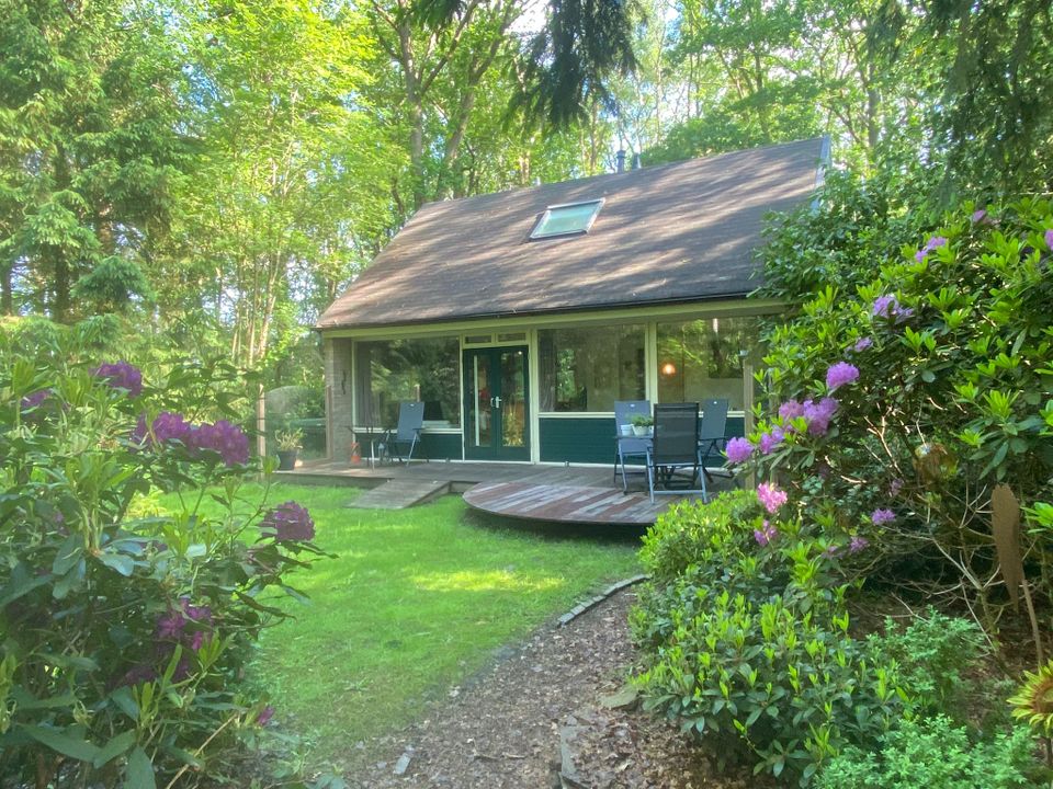 Forest house Wateren I has a sunny south-facing terrace and a beautiful view from the house and the terrace on the spacious forest garden