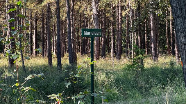 Beestenveld Lanenroute Marialaan straatnaambordje