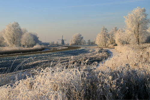 Wit landschap door de sneeuw