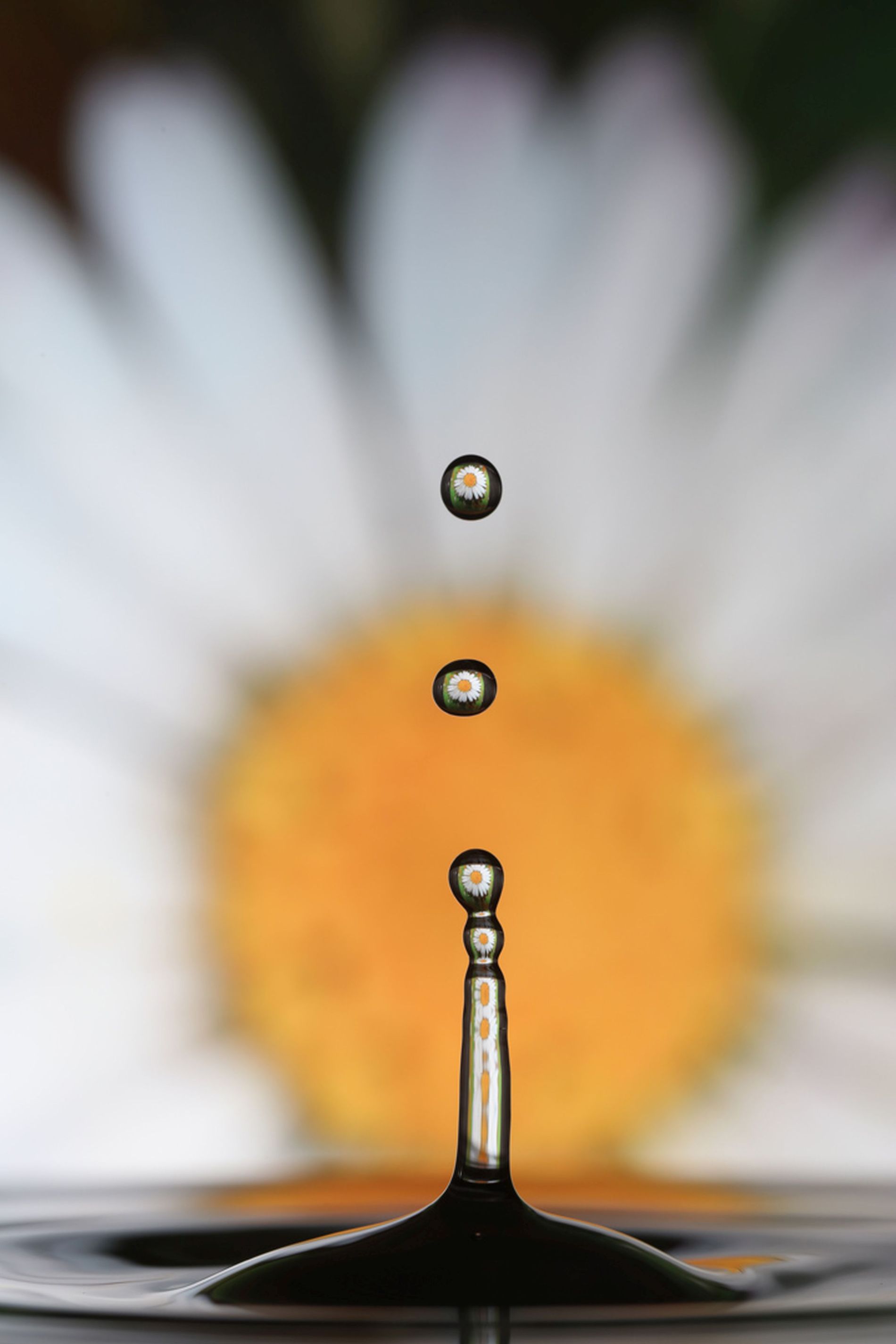 Waterdruppels