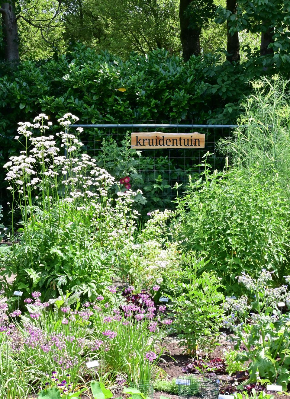 kruidentuin puur natuur