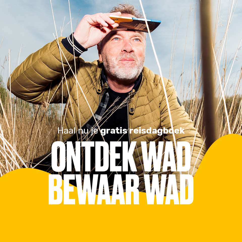 Visit Wadden, ontdek wad