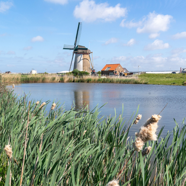 Zicht op een molen vanuit het gras in Groen van Delft