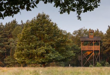 Uitkijktoren op het Doldersummerveld in het Drents-Friese Wold.