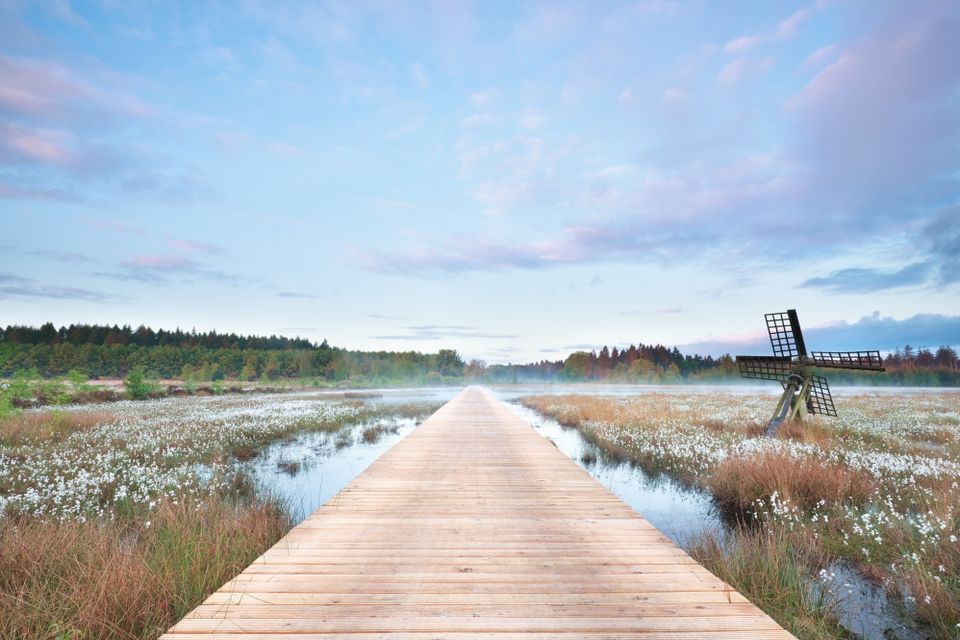 De tjasker, het plankenpad en het witte watachtigveenpluis in het Grolloerveen.