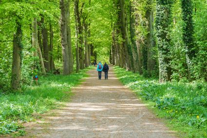 twee wandelaars op een bospad