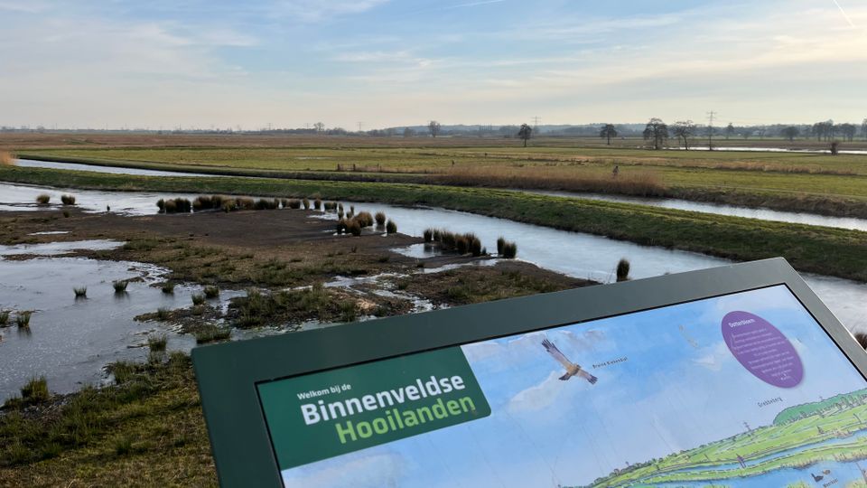 Uitzicht vanaf de uitkijktoren in het natuurgebied Binnenveldse Hooilanden