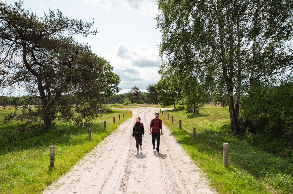 Vrouw en man wandelen Dwingelderveld