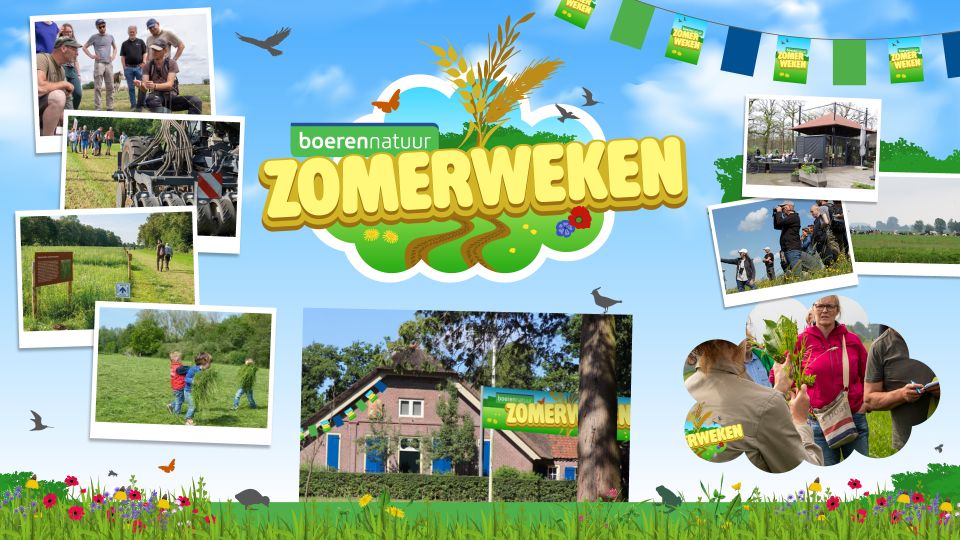 moodboard zomerweken boeren natuur brabant