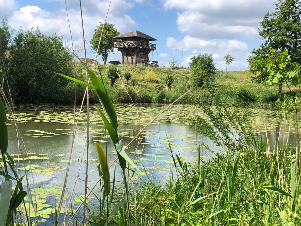 Romeinse wachttoren bij de Spees (Camping de Linie)