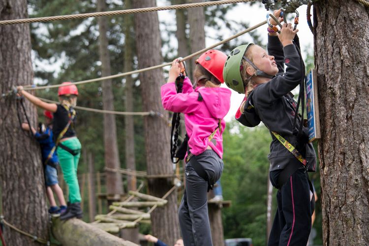 In bomen klimmende kinderen in Outdoor Center Reusel