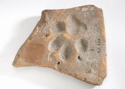 Baksteen met pootafdruk van een hond
