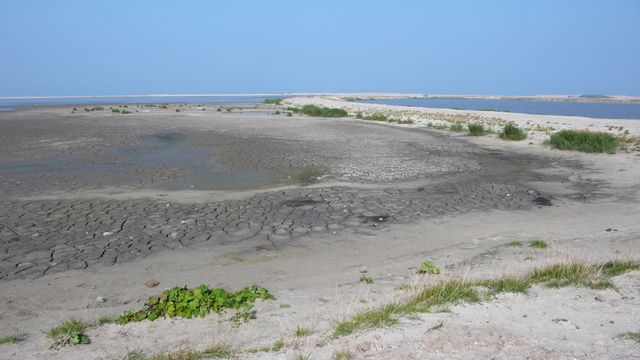 Nederland krijgt er een nieuwe eilandengroep bij: Marker Wadden. In het Markermeer verrijst een archipel van natuureilanden. Marker Wadden zorgt ervoor dat de natuur in het gebied weer opleeft. Hier ontstaat een natuurparadijs voor vogels, vissen en mensen.