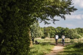 Fietstocht "De stad uit, het bos in"