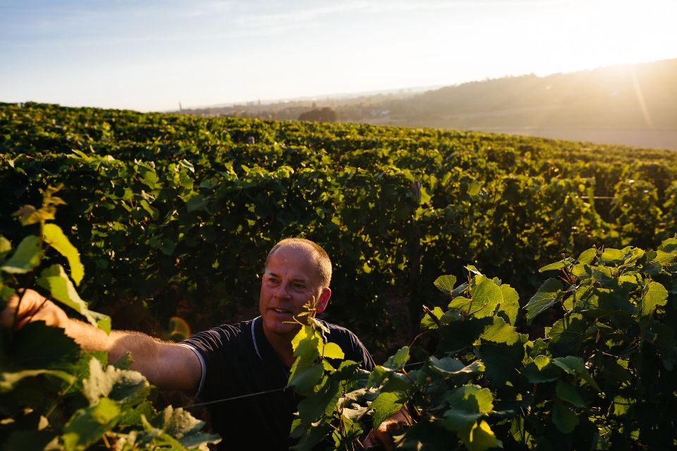 Limburg vineyards