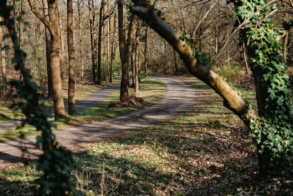 Vrachelse heide Kloosterpad