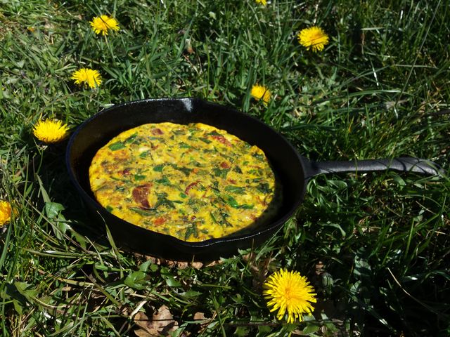 Een pan in het gras met een gebakken paardenbloemomelet.