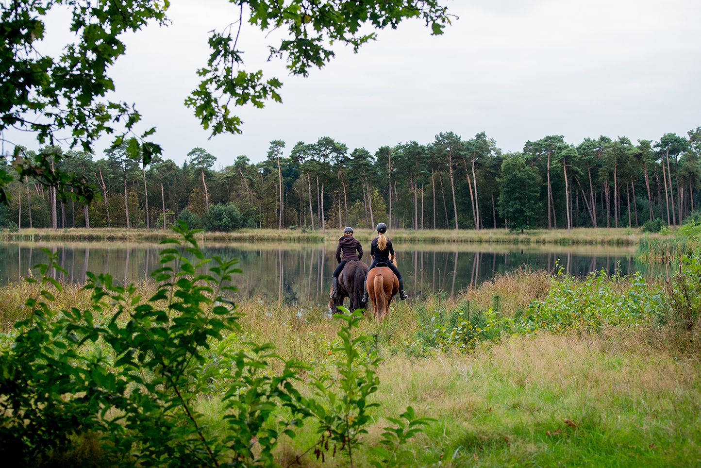 Verborgen ven Het Ossengoor in de Chaamse Bossen