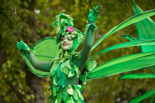 levende Groene Bomen