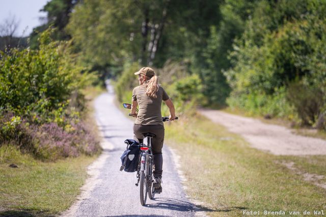 Veldnamenfietstocht Dwingelderveld