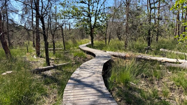 Wandeling Plankenpad Landgoed De Stippelberg