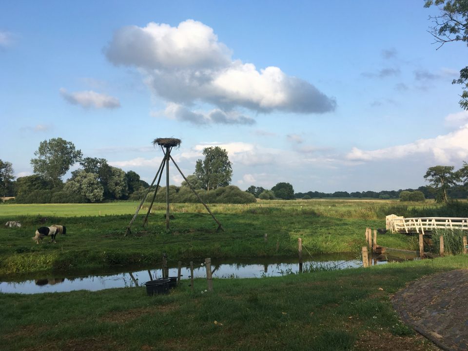 Landschap Reestdal