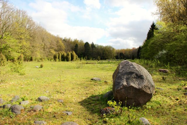 Een steen op een open plek in het lanschap van het bos in Flevoland