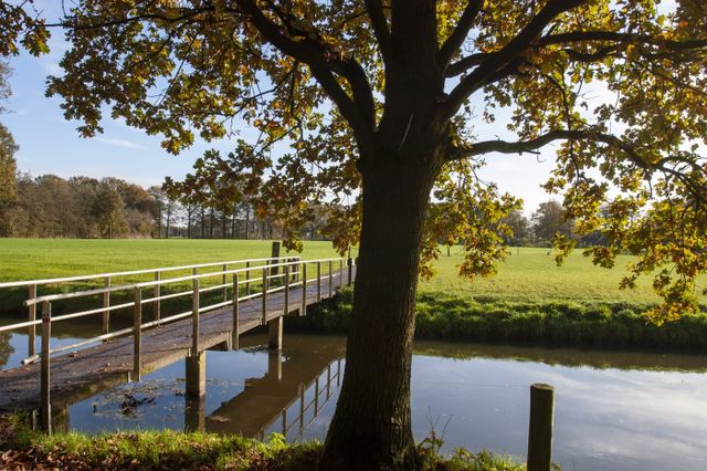 Houten brug over een watergang langs het Klompenpad Broekerpad, met groene weilanden en bomen in herfstkleuren. De foto laat het landelijke wandelgebied en de rustige natuur langs de route zien.
