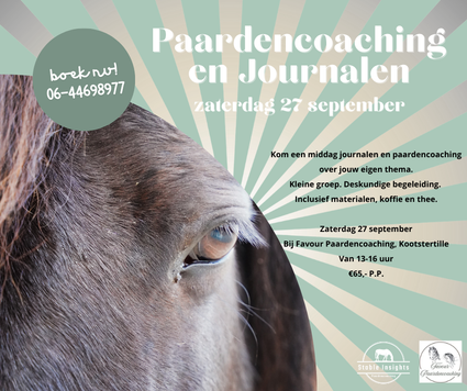 Kom een middag paardencoachen en journalen! Voor creatieve natuurliefhebbers!