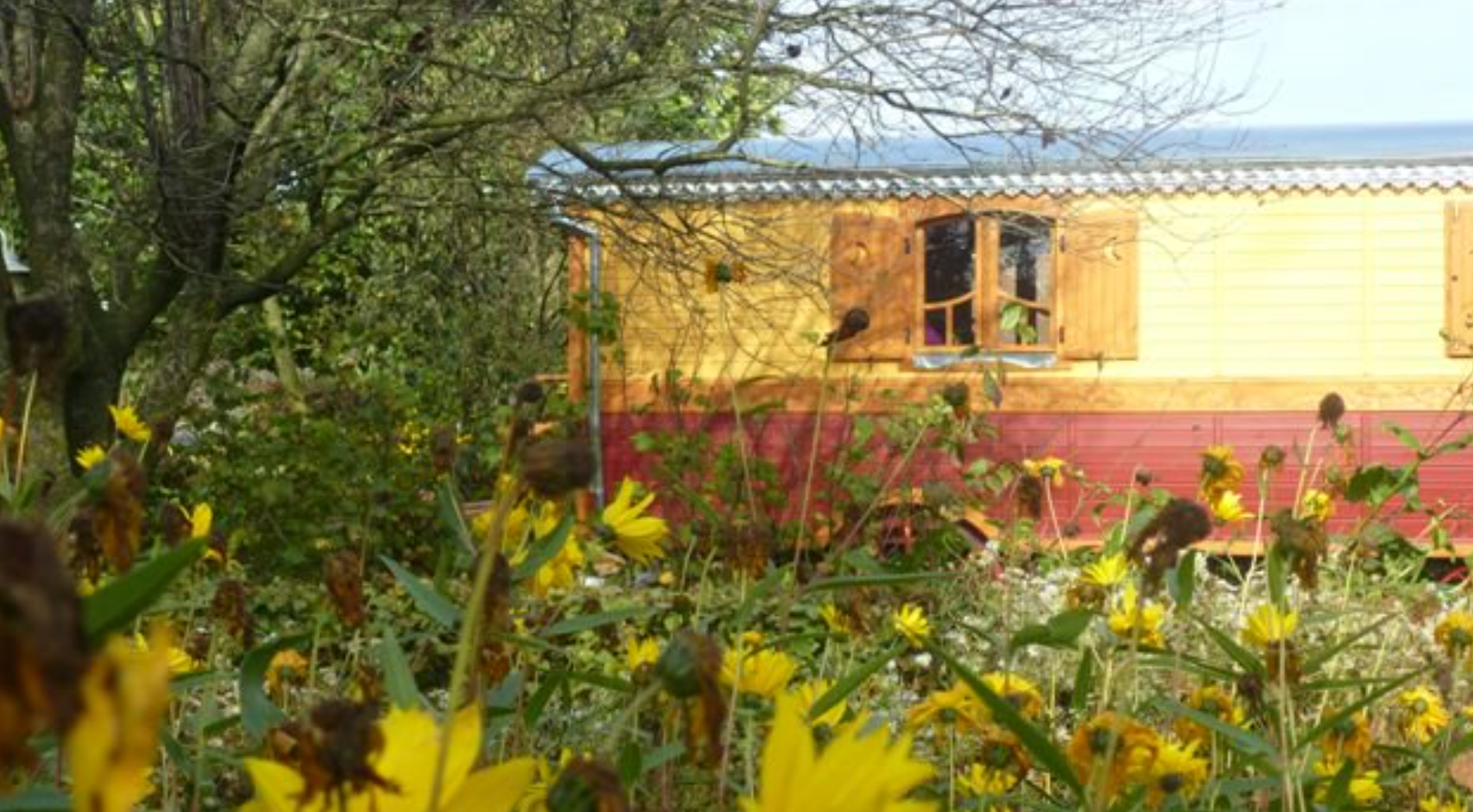 Schooteindhoeve Vlierden,  gypsy wagon