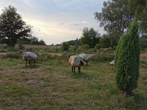 Stenen schaapjes stakenberg