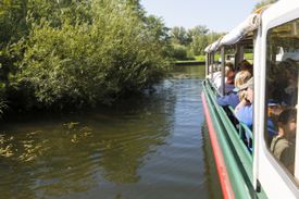 Fluisterboottocht door Nationaal Park De Biesbosch