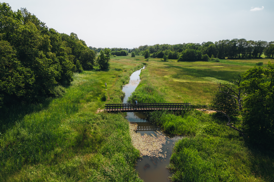Een man wandelt over een houten bruggetje in de groene Drentse natuur op een zonnige dag.