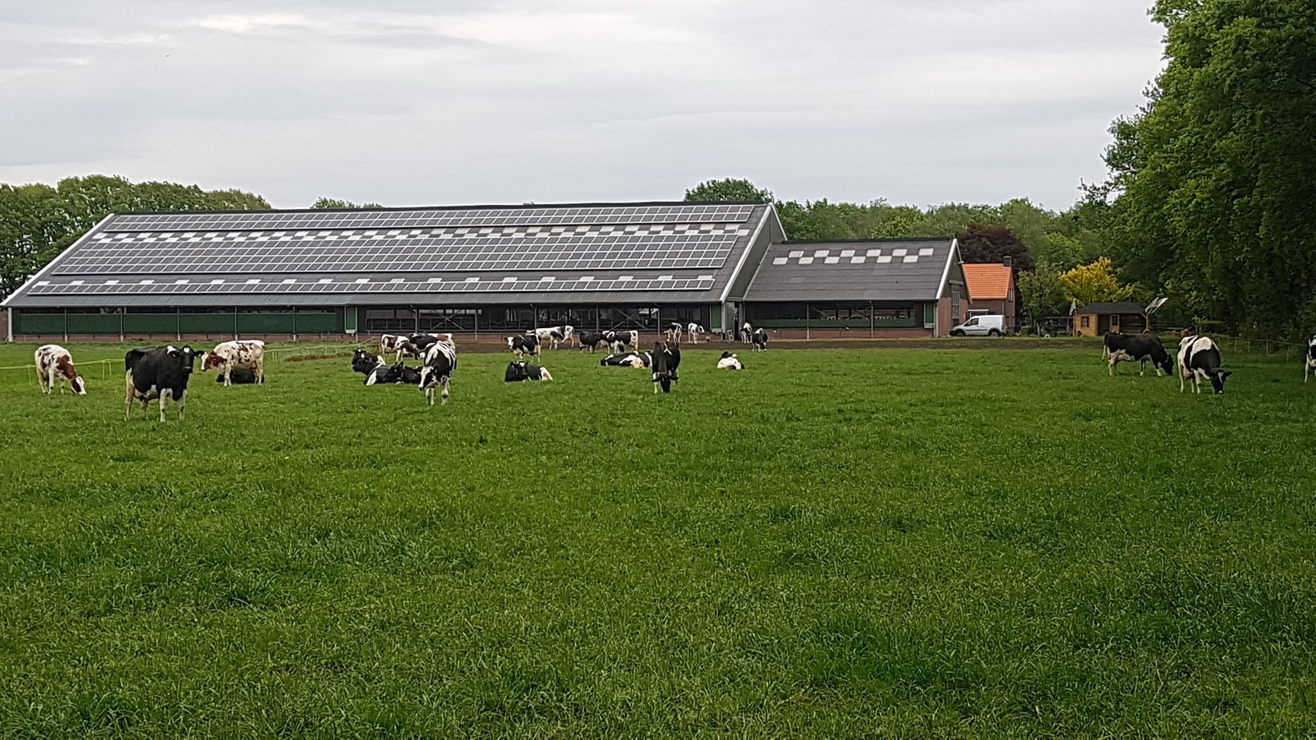 Zuivelboerderij De Leegvelder Deurne