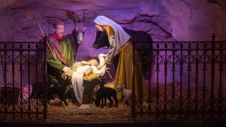 Kerststal Sint-Janskathedraal