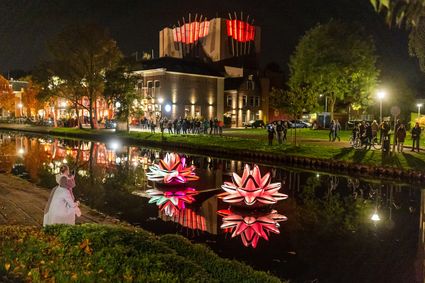 2 lichtgevende waterlelies