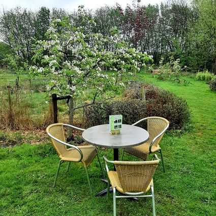 Gezellige theetuin in Drenthe