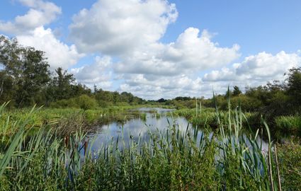 Prachtig gebied met mooie wandelingen