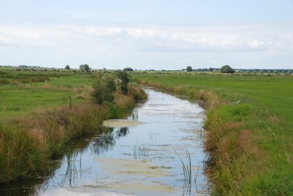 Vollemaanwandeling