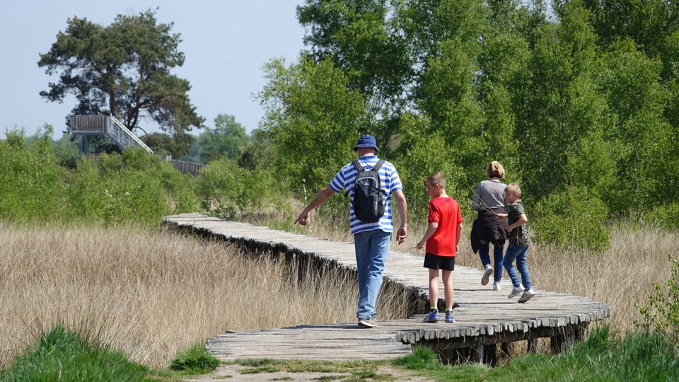 De Groote Peel - gezin wandelt op knuppelbruggetjes