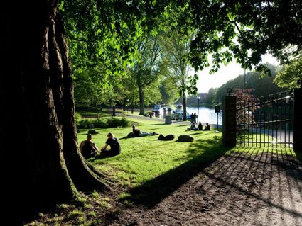 Van Visitleeuwarden.com