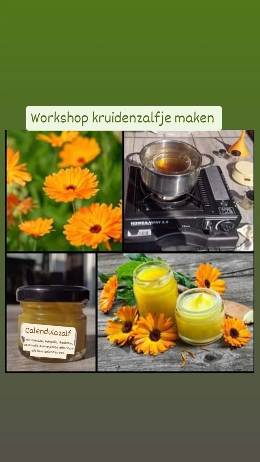 Workshop kruidenzalfje maken