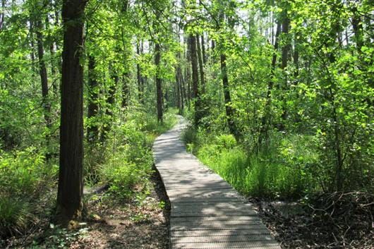 Brücke im Naturschutzgebiet „Het Schuitwater“