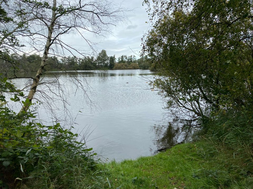 Swettepoel herfst bij Broek