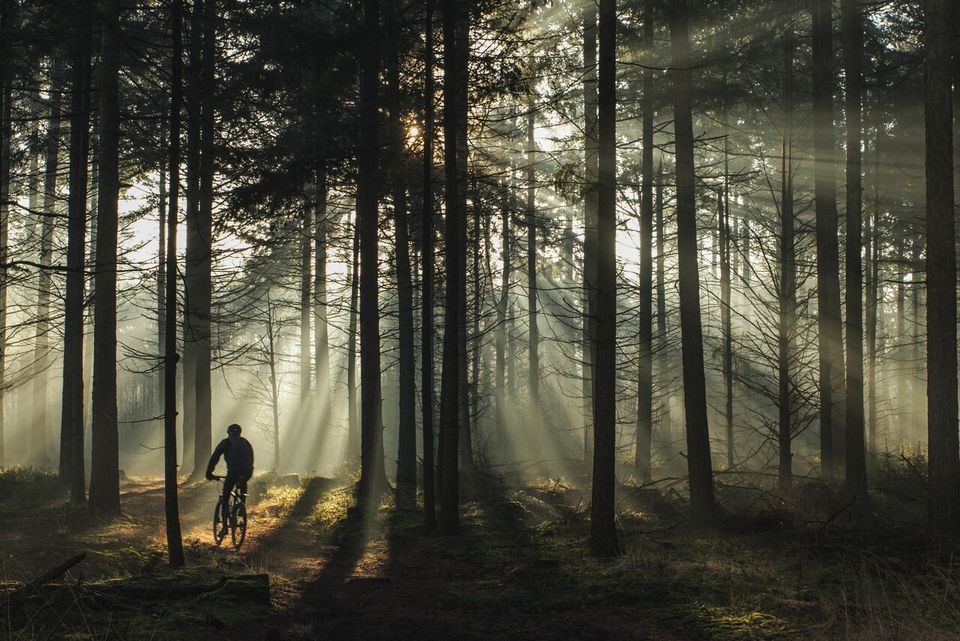 1 mountainbiker tijdens een parcours