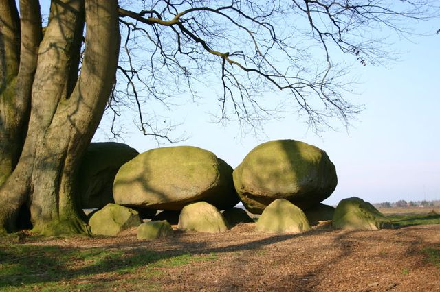 Hunegrab neben baum