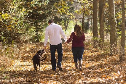 Stel wandelt met de hond in het bos