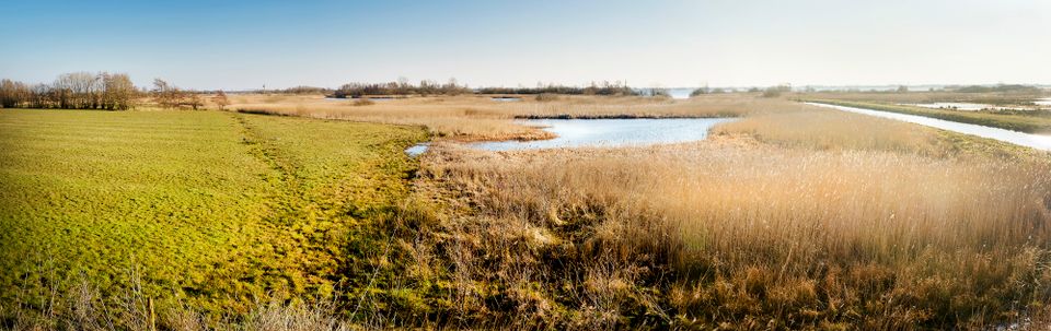 Door de Noordelijke Friese Wouden