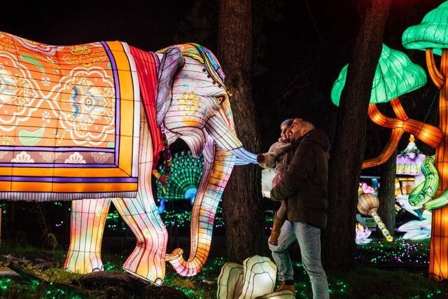 Beekse Bergen Light Safari