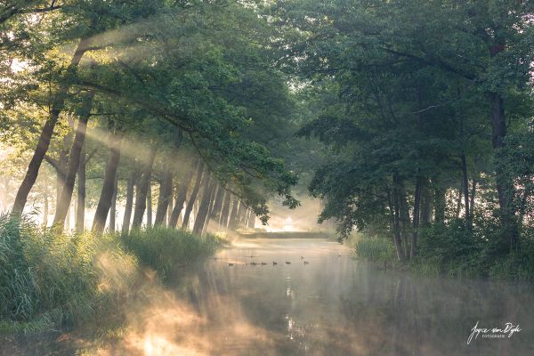 Ontbijtwandeling door de Peel met gids Deurne en Griendtveen